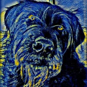 Meet your Posher,, MK